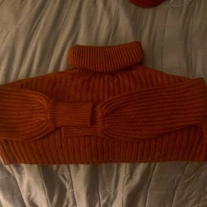 A dark autumn cropped sweater